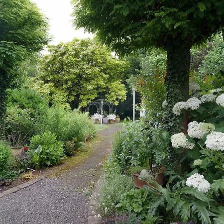 Daire Weingut Geiler - Neucastell *