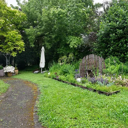 Daire Weingut Geiler - Neucastell